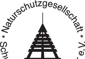 Strandfunde bestimmen und Bernsteinschleifen
