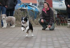 Rund um den Hund – Hundestunde