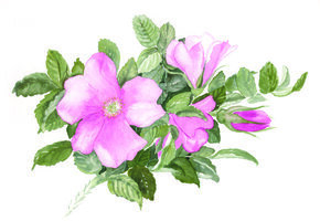 Thementag "Blumen"