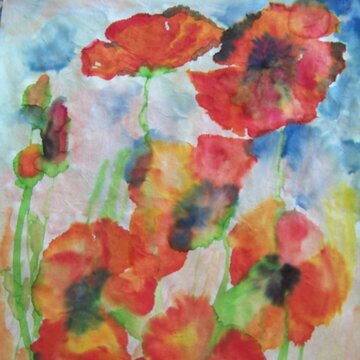 Kurs 6_Blumen und Farben im Nolde-Garten