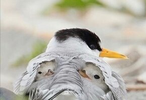 Screenshot_20211006_222852