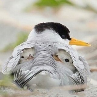 Screenshot_20211006_222852