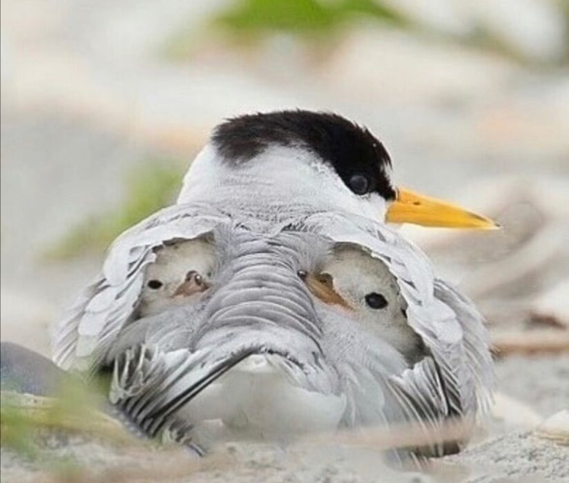 Screenshot_20211006_222852