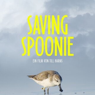 Saving Spoonie