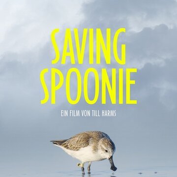 Saving Spoonie