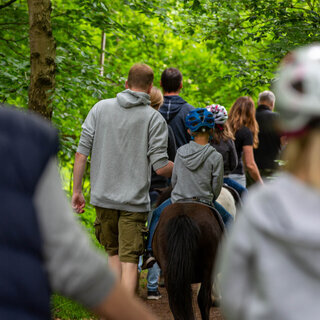 Gef&uuml;hrtes Ponyreiten auf sch&ouml;nem Wiesengel&auml;nde, ca. 20 Min.