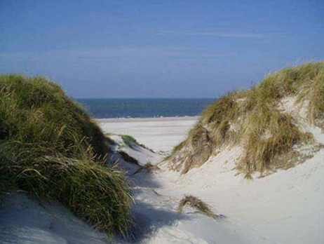 "Welten aus Sand und Wind"