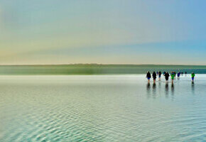 Wattwanderung F&ouml;hr nach Amrum mit Susanne Blank und Hermann Hinsberger