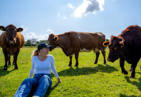 Das liebe Vieh... Weiderinder ganz nah