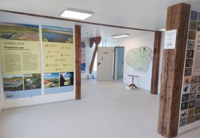 F&uuml;hrungen am Storchenpark & im Andelhof