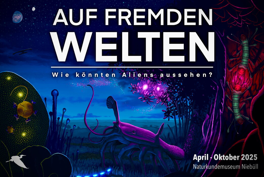 nkm-niebuell_fremde-welten-1