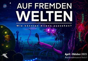nkm-niebuell_fremde-welten-1