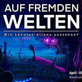 nkm-niebuell_fremde-welten-1