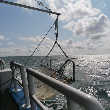 Seehundsb&auml;nke &ndash; Seetierfang mit dem "MS Rungholt"