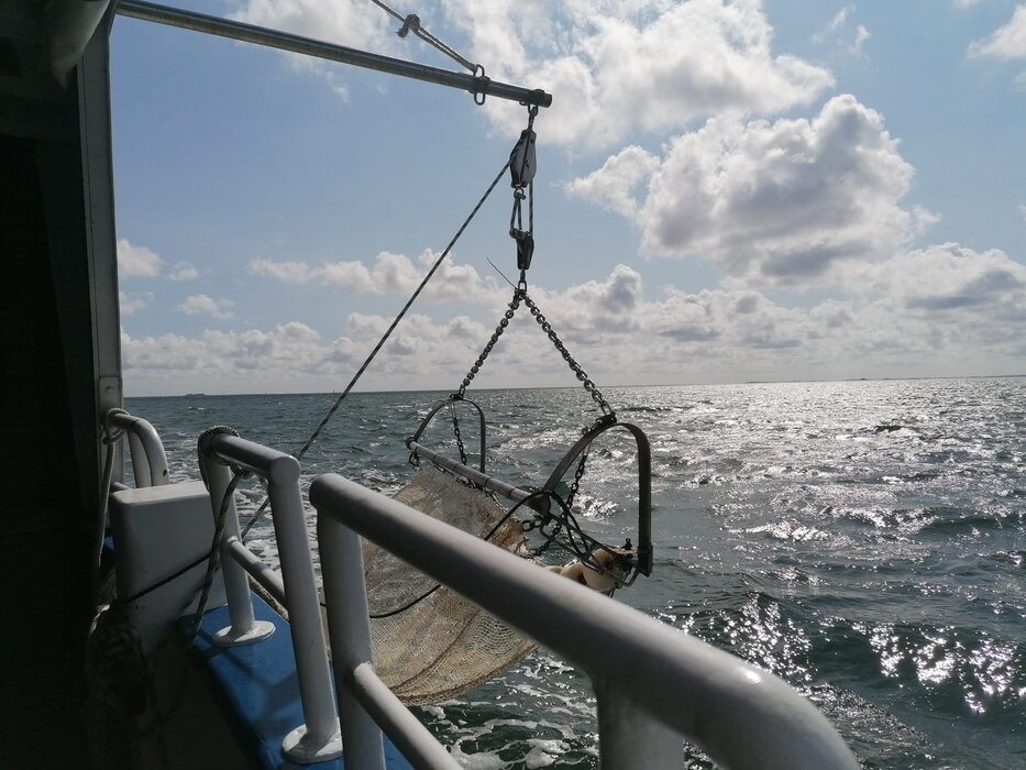 Seehundsb&auml;nke &ndash; Seetierfang mit dem "MS Rungholt"