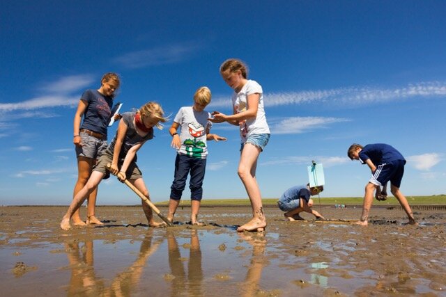 Kleine Wattwanderung auf Amrum