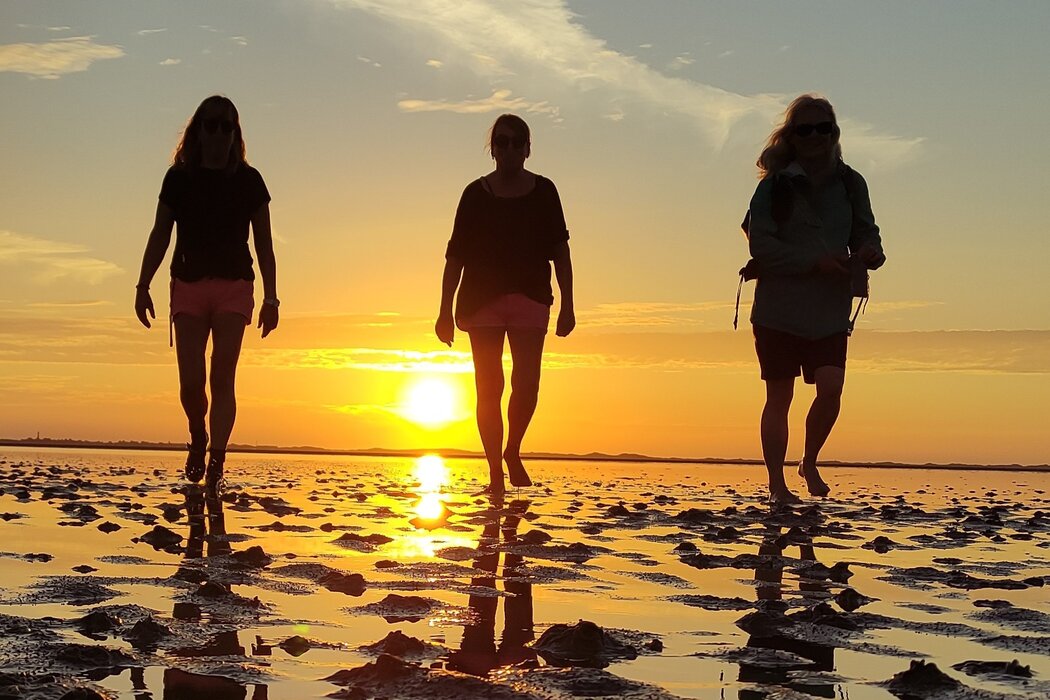 Wattwanderung SonnenUntergang mit Nationalparkf&uuml;hrer Matthias Hansen