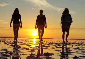 Wattwanderung SonnenUntergang mit Nationalparkf&uuml;hrer Matthias Hansen