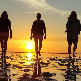 Wattwanderung SonnenUntergang mit Nationalparkf&uuml;hrer Matthias Hansen