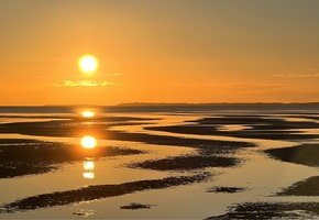 Naturkundliche Wattwanderung zum Sonnenunter- und Vollmondaufgang im Nieblumer Watt