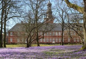 husum-g2c7e00416_1920