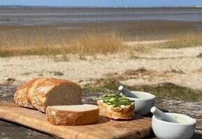 Wildkräuter auf Föhr – Natur entdecken & genießen