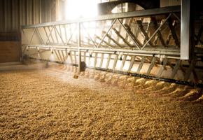 F&ouml;hrer Malzgeschichten &ndash; Bier trifft Whisky auf "Bobbys fooderb&ouml;&ouml;n"