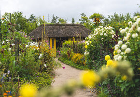 Nolde-Garten