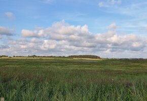 "F&ouml;hr Tours" &ndash; Naturkundliche und ornithologische F&uuml;hrungen
