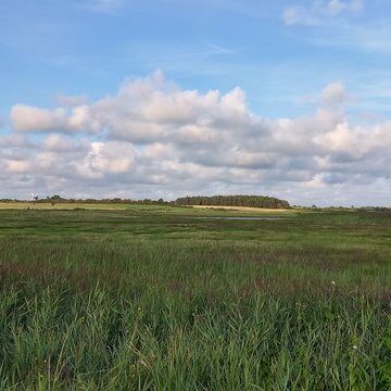 "F&ouml;hr Tours" &ndash; Naturkundliche und ornithologische F&uuml;hrungen