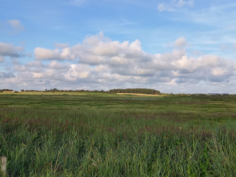 "F&ouml;hr Tours" &ndash; Naturkundliche und ornithologische F&uuml;hrungen