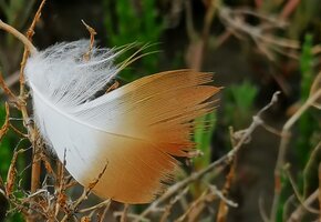 IMG_20220614_170558 Korrektur