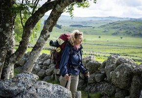 Die Camino-Therapie - Finde deinen Weg