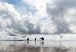 Wattwanderung von Föhr zum Festland mit Nationalparkführer Matthias Hansen