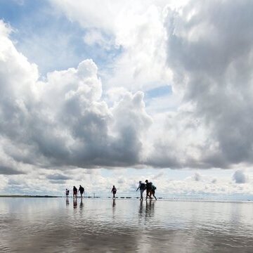 Wattwanderung von Föhr zum Festland mit Nationalparkführer Matthias Hansen