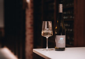 Weinf&uuml;hrung im Weingut Waalem