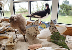 Watt&acute;n Escape im Nationalpark Haus - Schafft ihr es der Flut zu entkommen?