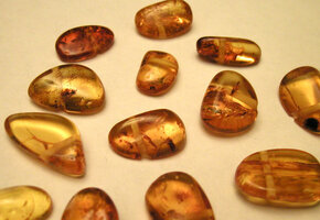 amber-beads-1471564
