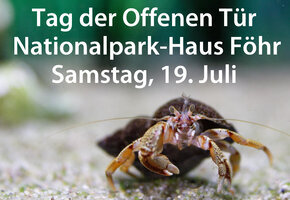 Tag der offenen Tür