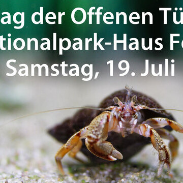 Tag der offenen Tür