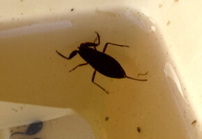 nkm-niebuell_keschern-1080-4