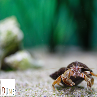 Ausstellungsf&uuml;hrung- F&auml;llt aus 