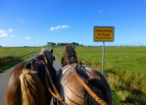 Tagesausflug Hallig Hooge