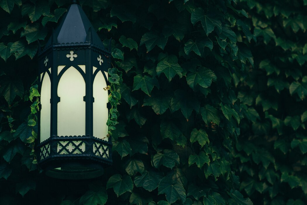 joel-peel-9Ysu3y-LYlw-unsplash