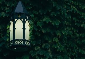 joel-peel-9Ysu3y-LYlw-unsplash
