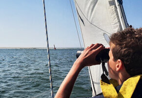 Inselt&ouml;rn F&ouml;hr &ndash; Amrum - F&ouml;hr