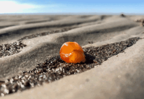 Workshop: Funde an Strand und Sp&uuml;lsaum mit Bernsteinschleifen