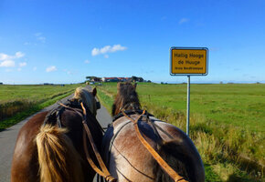 Tagesausflug Hallig Hooge