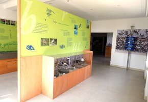 F&uuml;tterung der Aquarientiere im Nationalpark-Haus