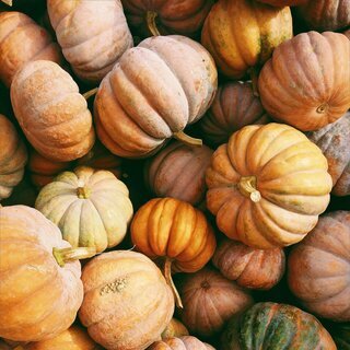 kerstin-wrba-zeInZepl_Hw-unsplash